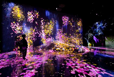 Exceptional Viewing Experience: Embracing Sensory Immersion