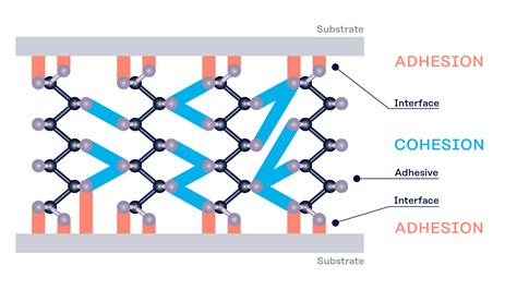 Exceptional adhesion: