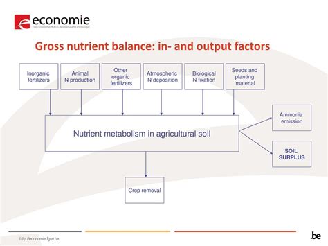 Exceptional nutrient balance