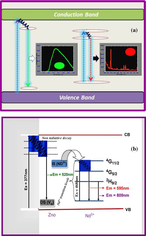 Excitation and Emission Mechanisms