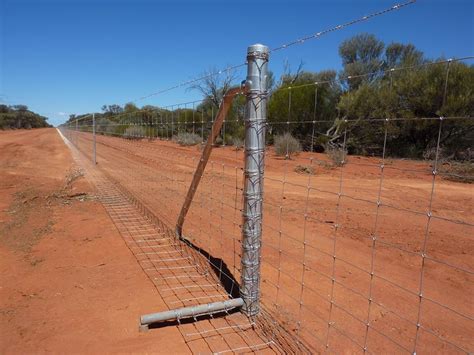 Exclusion Fencing: