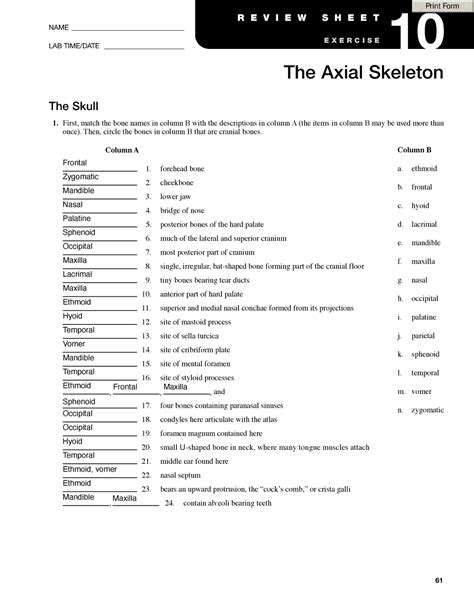 Exercise 10 Axial Skeleton Answers PDF