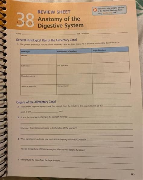 Exercise 38 Digestive System Answers Reader
