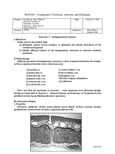 Exercise 7 The Integumentary System Lab Answers Epub