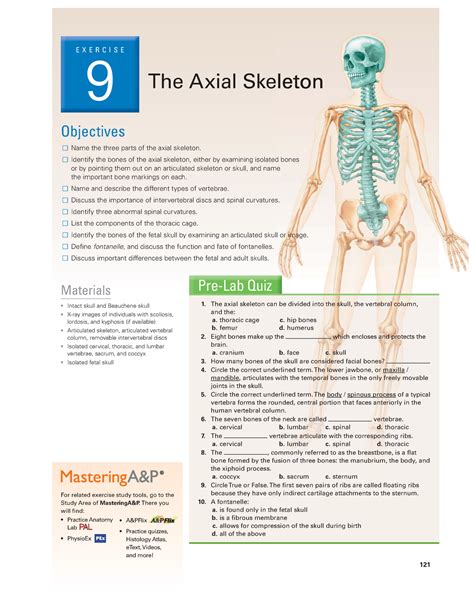 Exercise 9 The Axial Skeleton Answer Key Ebook Doc