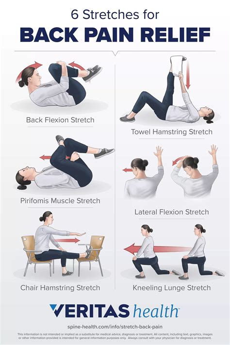 Exercise Your Way to Health : Back Pain Exercise Plans to Improve Your Life PDF