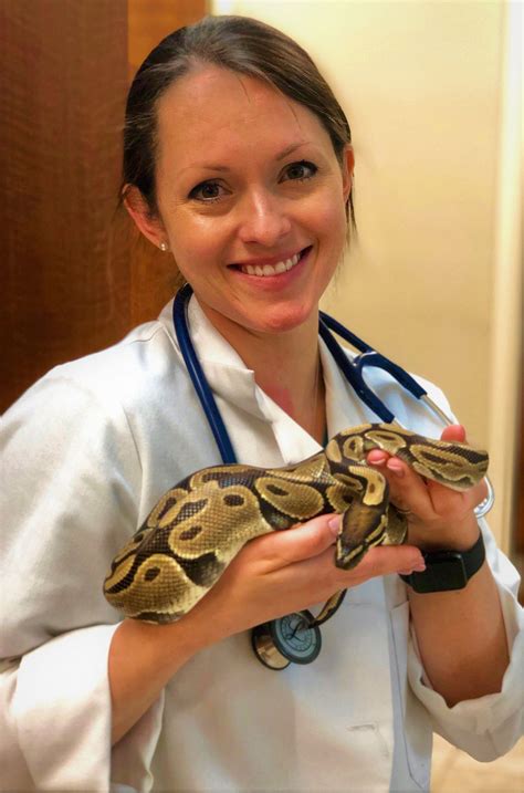 Exotic animal vets