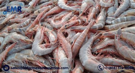 Expanding the Popularity of Shrimp