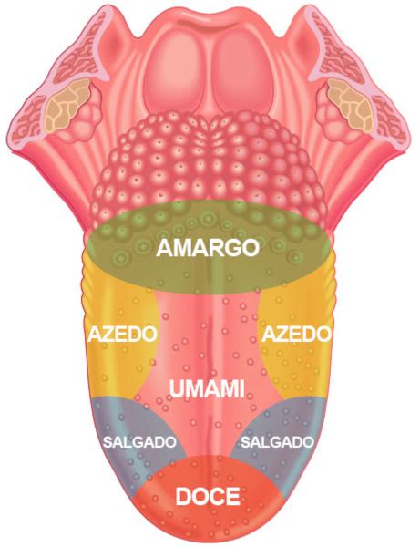 Expansão do paladar: