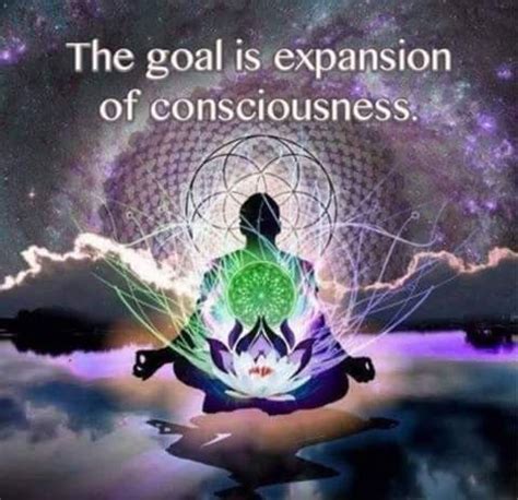 Expansion of Consciousness Epub