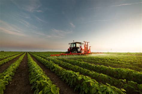 Experience Farming: A Lucrative Endeavor