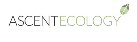 Experience Unmatched Expertise with Ascent Environmental Inc. for Sustainable Solutions