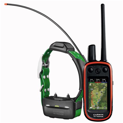 Experience Unparalleled Dog Tracking with the Alpha 100 Garmin TT15 System