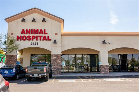 Experience the Augusta Ranch Animal Hospital Difference