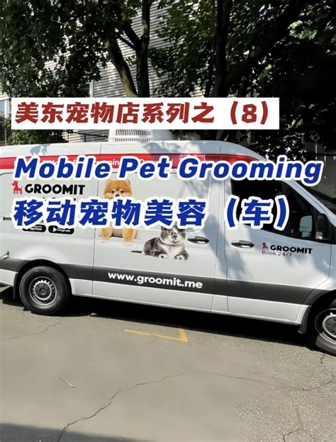 Experience the Convenience of Mobile Grooming