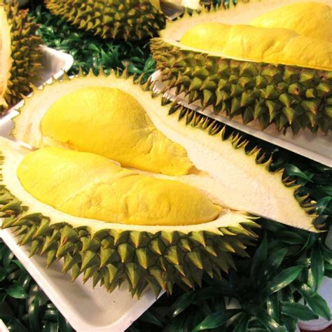 Experience the Thorny Delights: An Unforgettable Durian Trip to Johor Bahru