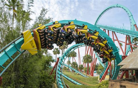 Experience the Thrill at Busch Gardens Tampa Bay