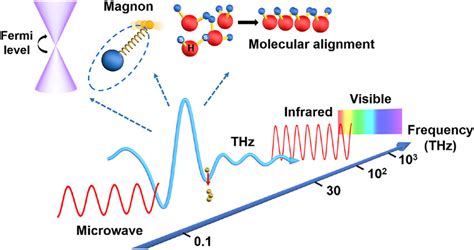 Experience the Transformative Power of Terahertz Energy