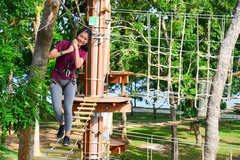 Experience the Ultimate Forest Adventure in Singapore