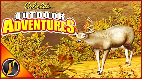 Experience the Ultimate Hunting Adventure