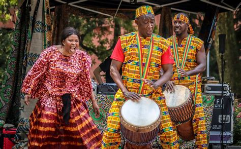 Experience the Wild Rhythms of the Savanna with These Captivating Starters