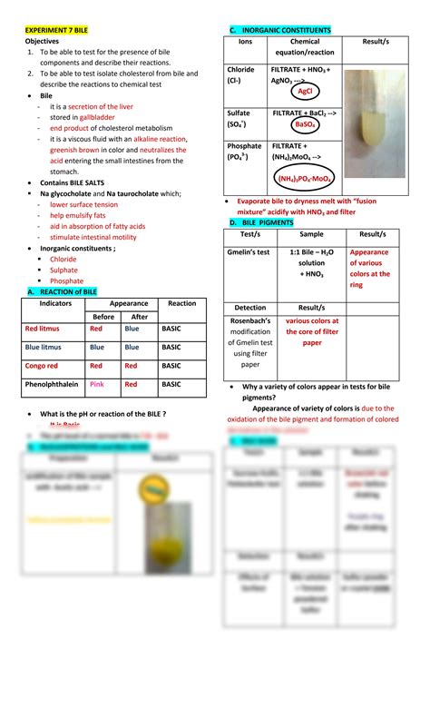 Experiment 7 An Activity Series Post Lab Answers Doc