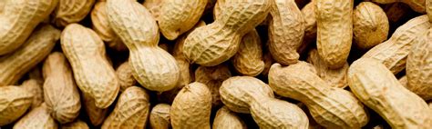 Experiment with Peanut Varieties: