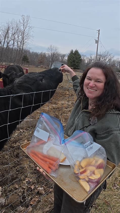 Experiments in Making and Storing Hay Doc