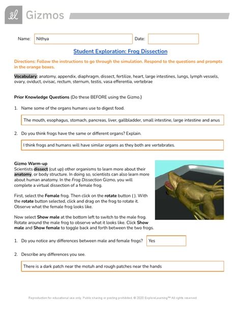 Exploration Frog Dissection Lab Answer Key PDF