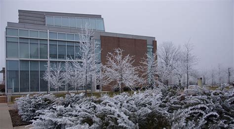 Explore Academic Enclaves and Cutting-Edge Research Centers
