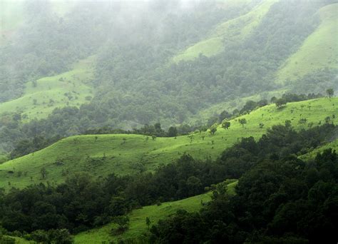 Explore Grasslands and Forests: