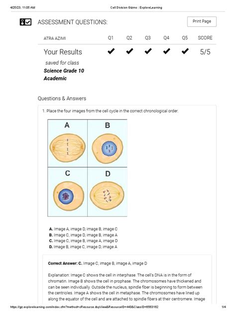 Explore Learning Cell Division Answers Reader