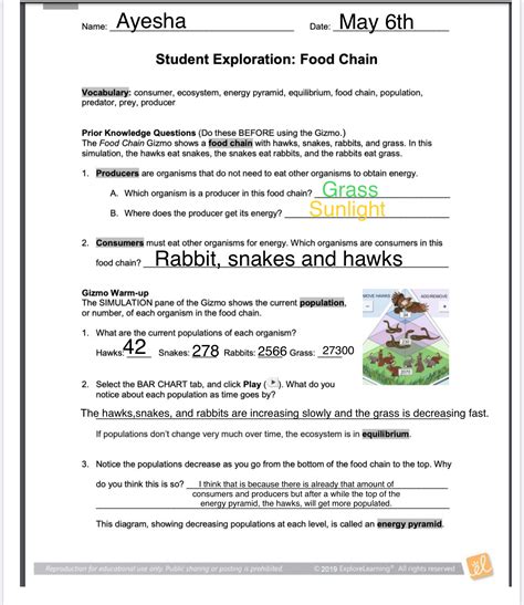 Explore Learning Food Chain Gizmo Answer Key Doc