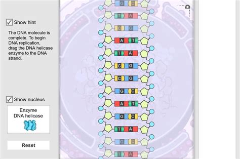 Explore Learning Gizmo Answers To Dna Fingerprinting Kindle Editon