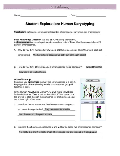 Explore Learning Student Exploration Human Karyotyping Answers Kindle Editon