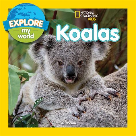 Explore My World Koalas Doc