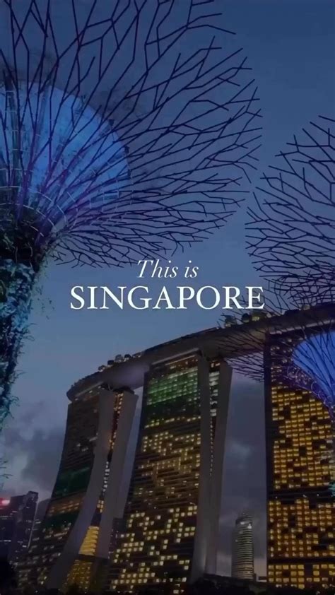 Explore Singapore's Vibrant tapestry with Unmatched Discounts