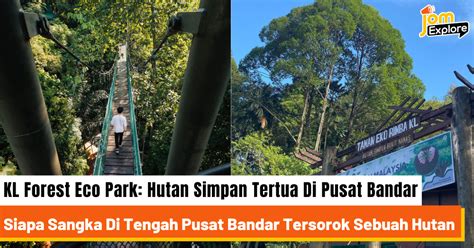 Explore Tengah Forest Park: