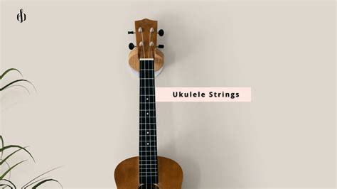 Explore a World of Ukulele Harmonies