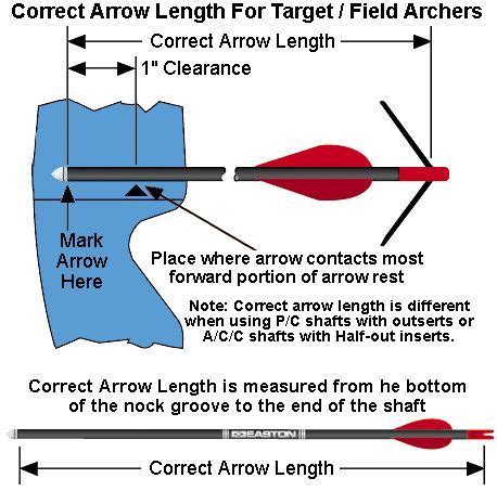 Explore an Unrivaled Selection of Archery Equipment
