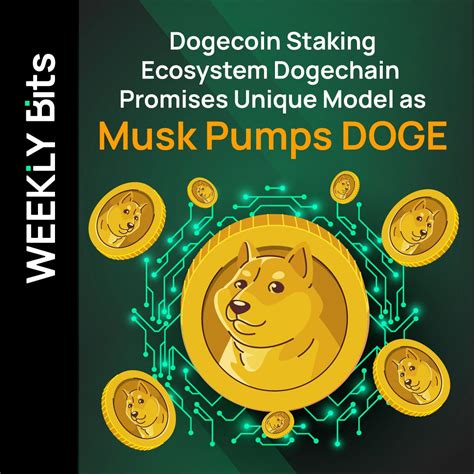 Explore the Dogechain Ecosystem