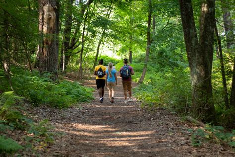 Explore the Nature Trails: