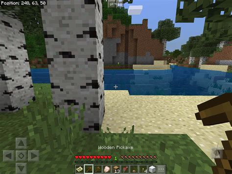 Explore the Vast World of Minecraft Skins