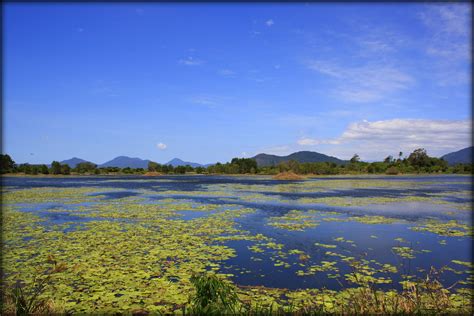 Explore the Wonders of the Wetlands