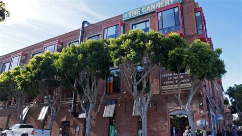 Explore the World of Canneries Near You