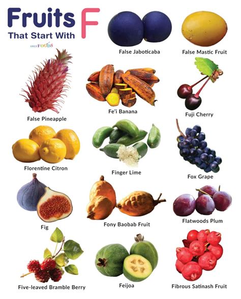 Explore the World of Fruits Starting with F: A Comprehensive Guide