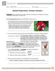 Explorelearning Gizmo Answer Sheet Chicken Genetics Doc