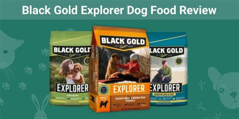 Explorer Dog Food Reviews: Truth Unraveled, Needs Fulfilled