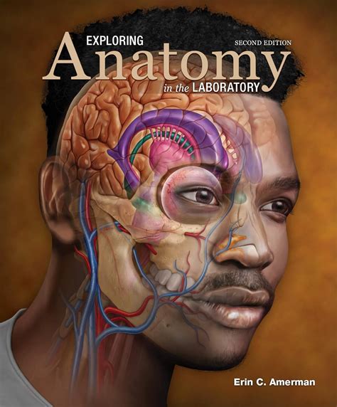 Exploring Anatomy Amerman Lab 1 Answers 204 PDF