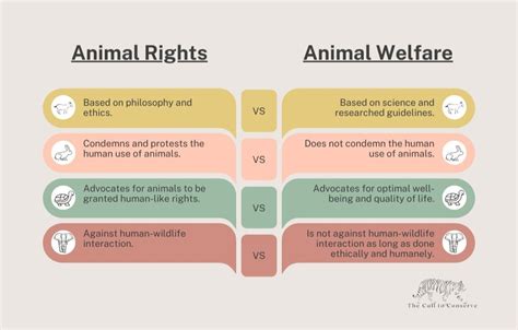 Exploring Animal Rights and Animal Welfare Reader